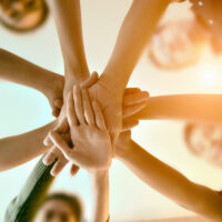 Trust-in-Team
